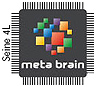Meta Brain